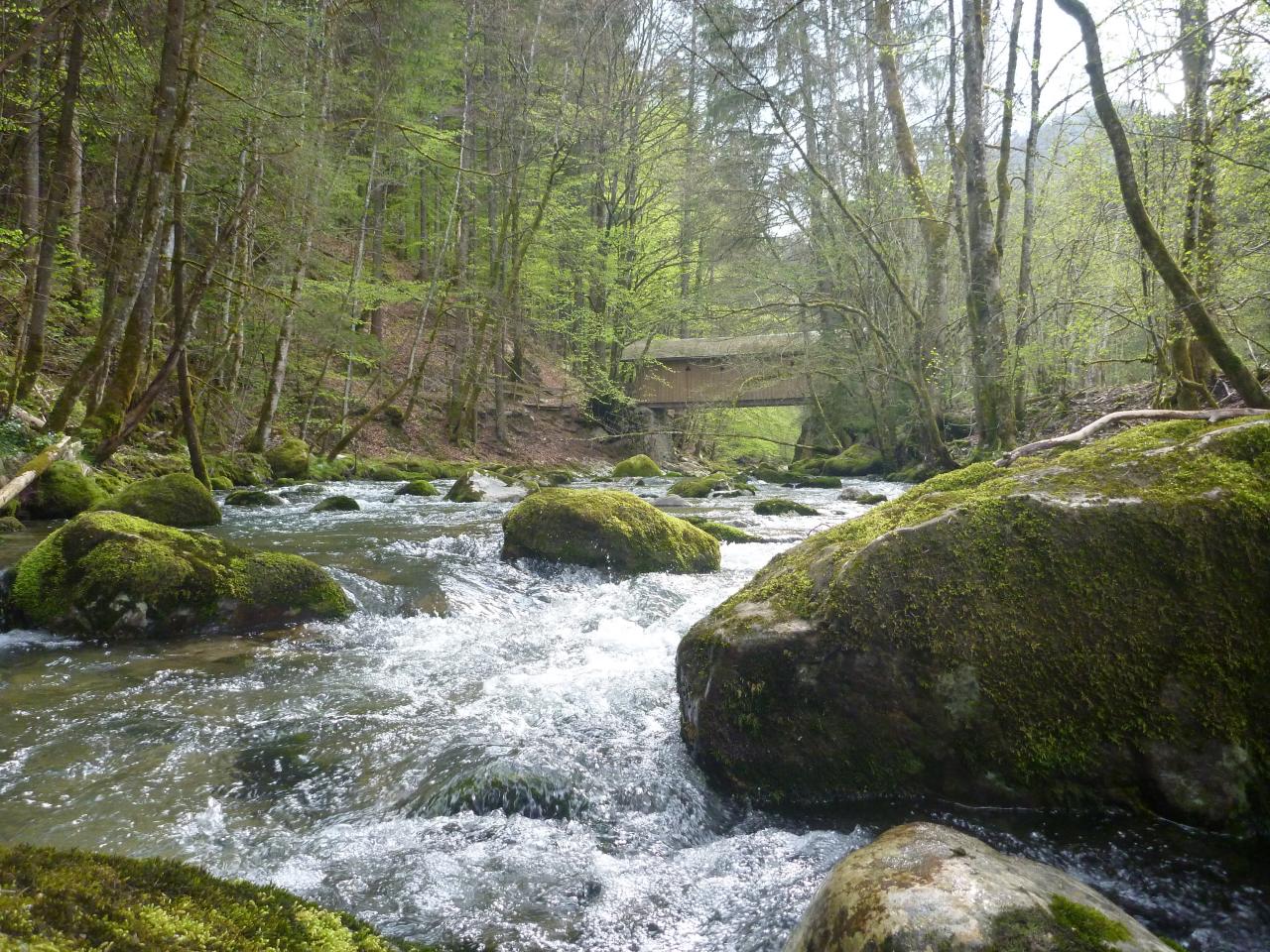 Le pont couvert