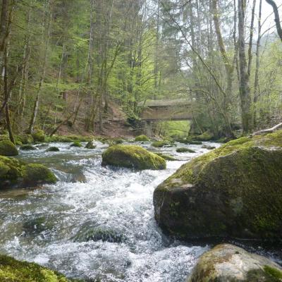 Le pont couvert