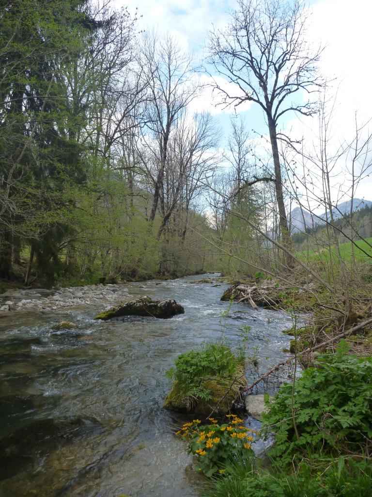 Le secteur des Borgels