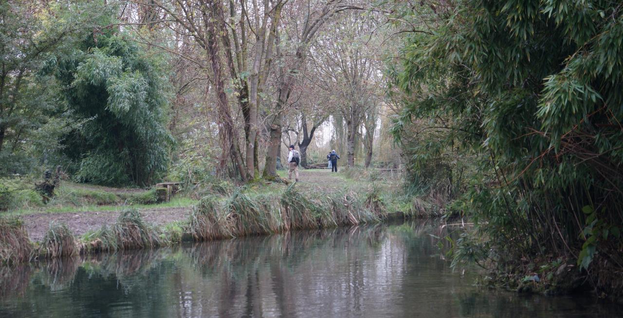 Journée automnale