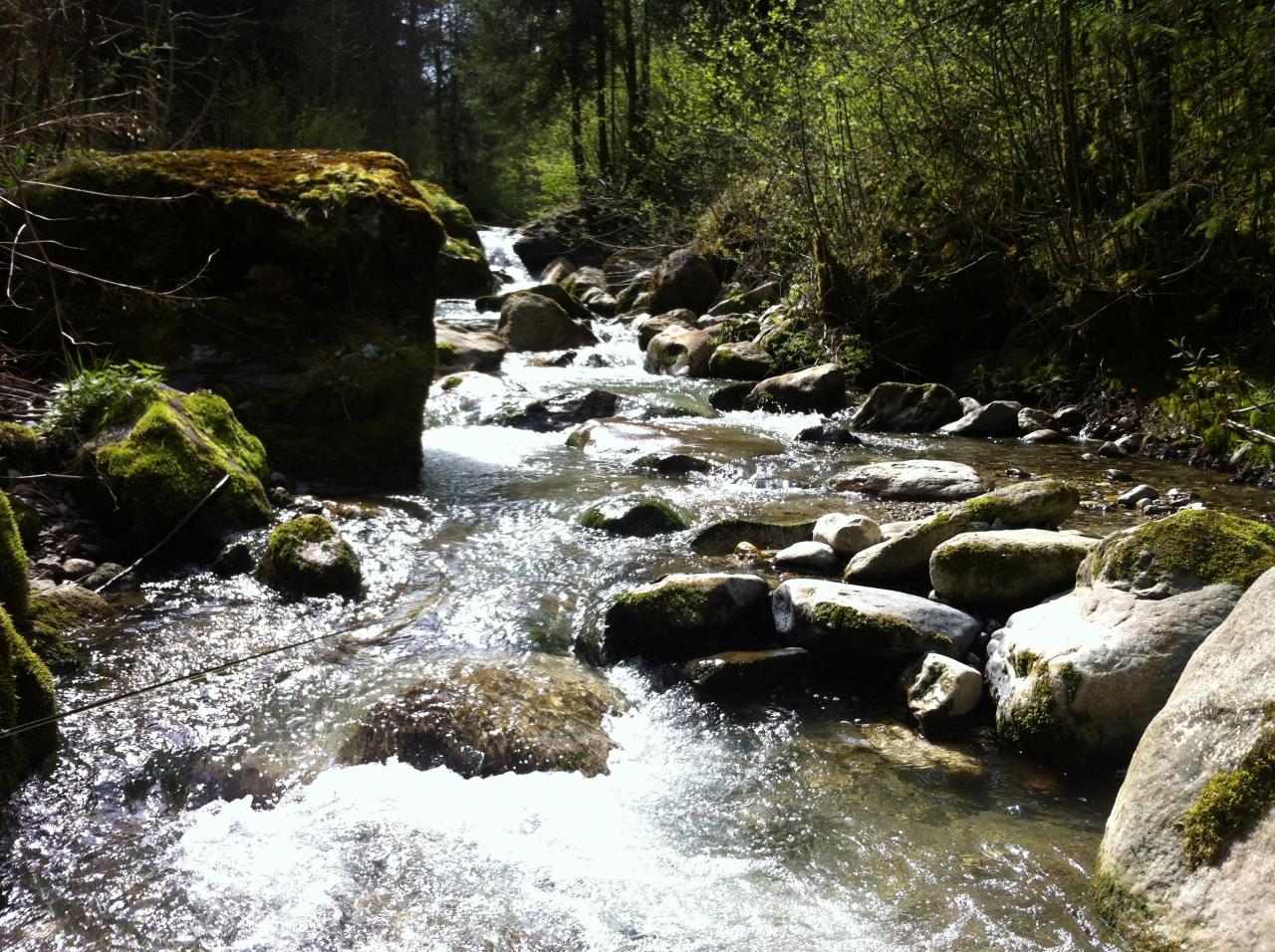 Le secteur de la petite gorge