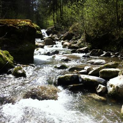 Le secteur de la petite gorge